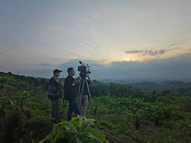 创意破圈！建宁县电商产品宣传视频用故事化叙事引爆流量