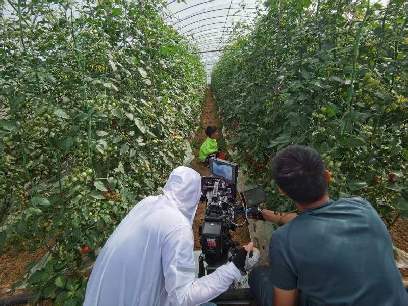 建宁县产品宣传视频拍摄公司进阶指南，助力品牌抢占传播高地